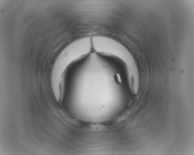 X0000078310376200611251539