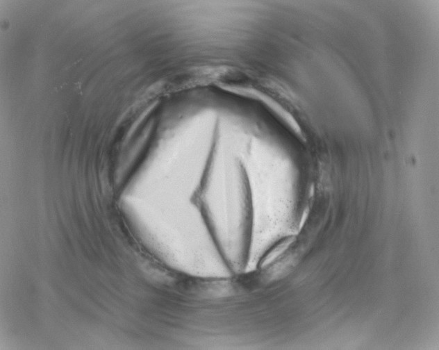 X0000078310377200611251539