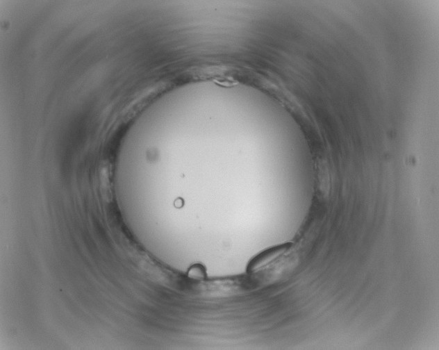 X0000078310378200611251539