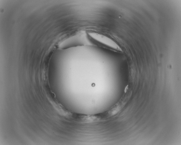 X0000078310379200611251539