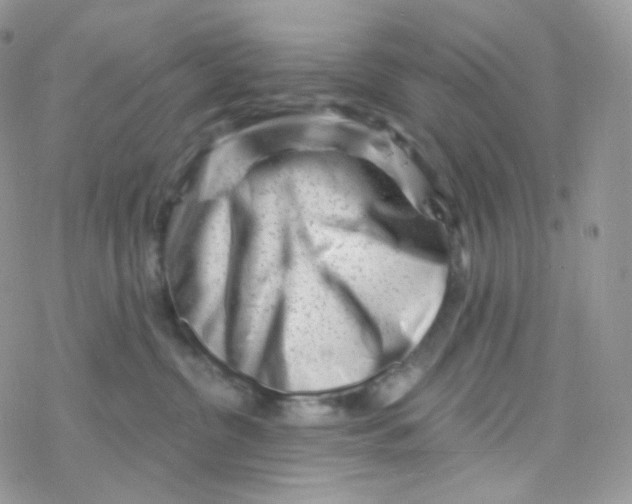 X0000078310380200611251539