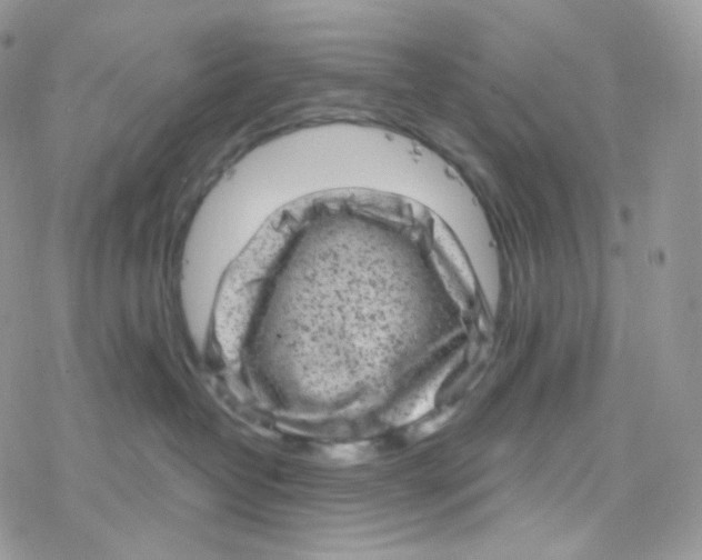 X0000078310382200611251539