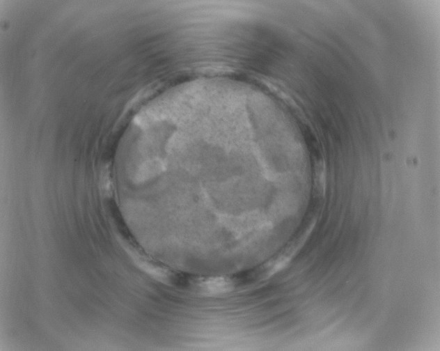 X0000078310383200611251539