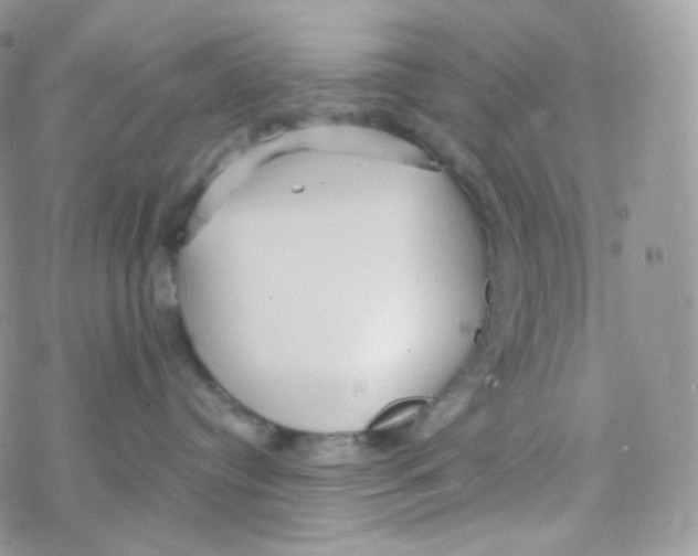 X0000078310384200611251539