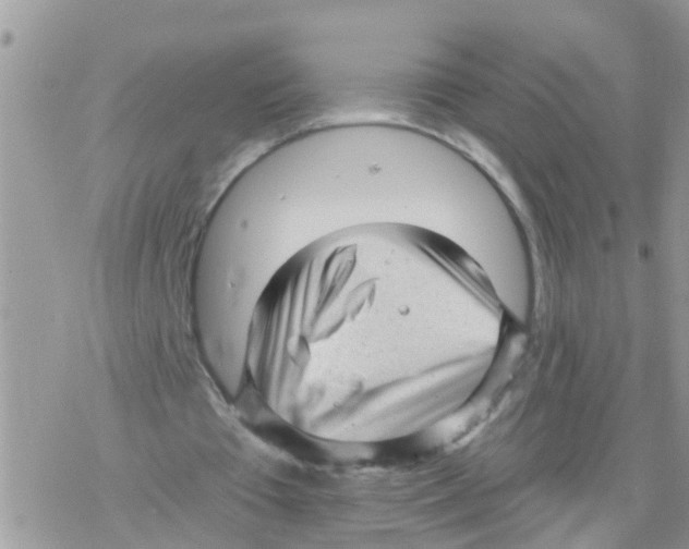 X0000078310385200611251539