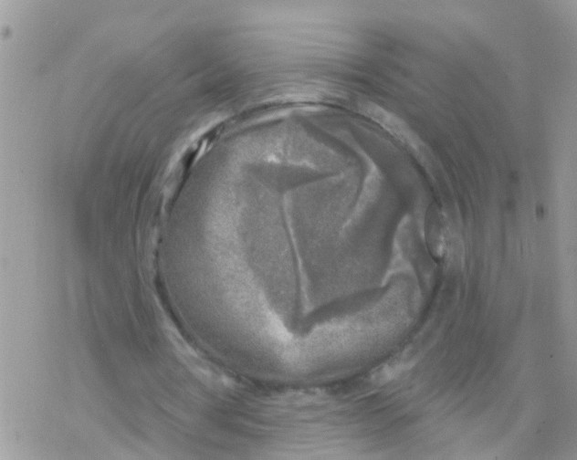 X0000078310386200611251539