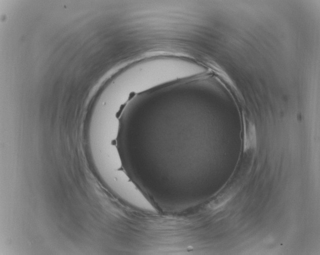 X0000078310387200611251539