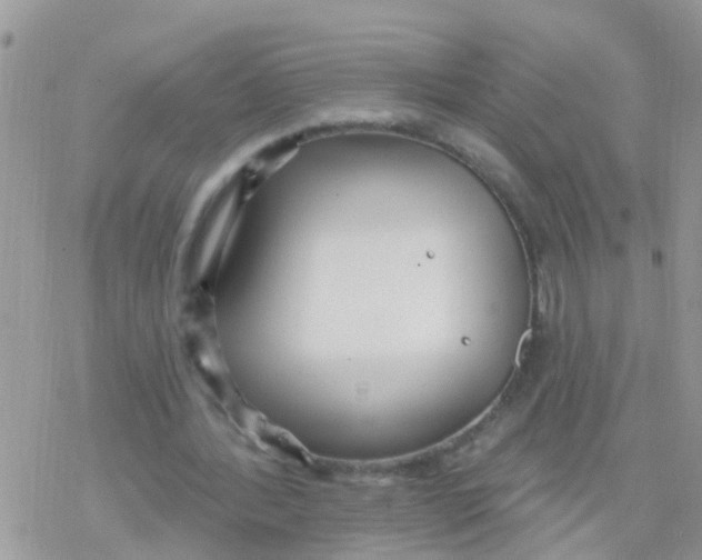 X0000078310388200611251539