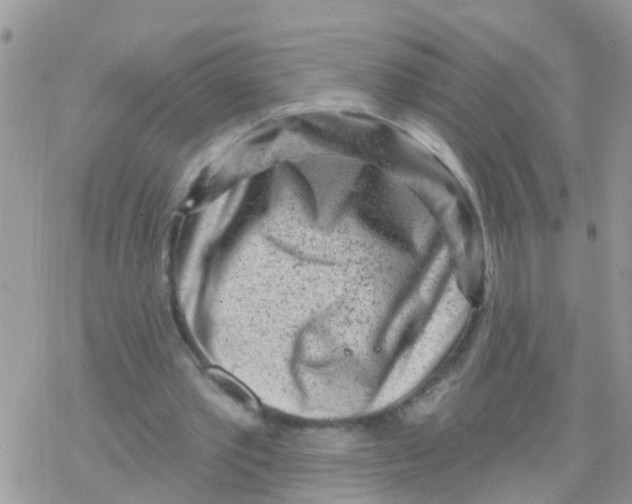 X0000078310389200611251539