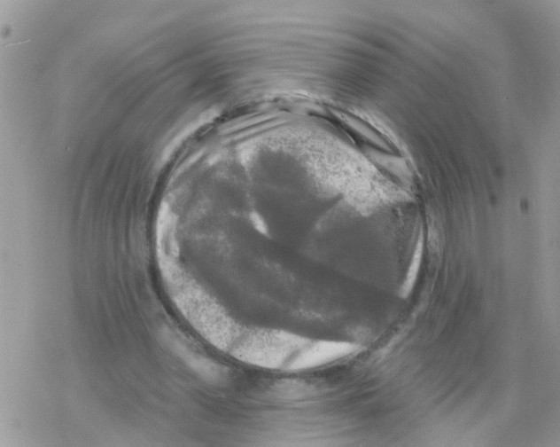 X0000078310390200611251539