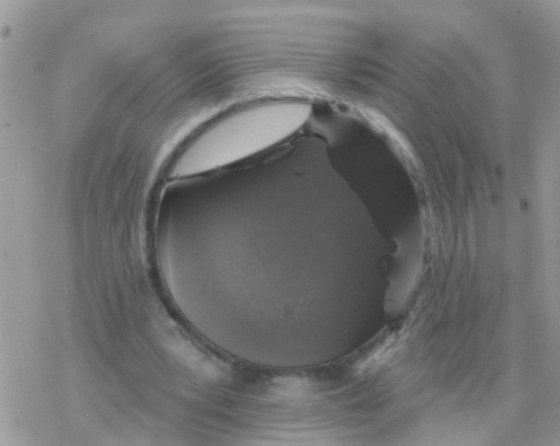 X0000078310391200611251539