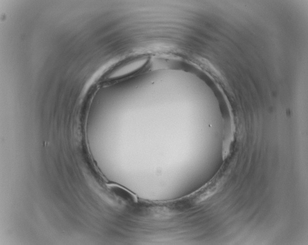 X0000078310392200611251539