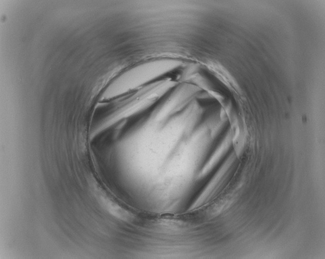 X0000078310393200611251539