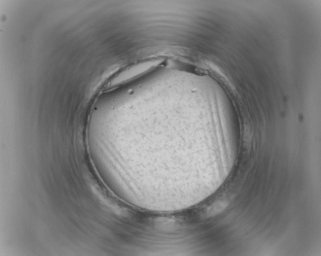 X0000078310394200611251538