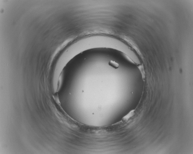 X0000078310395200611251538