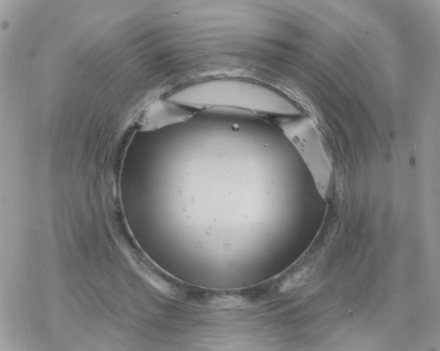 X0000078310397200611251538