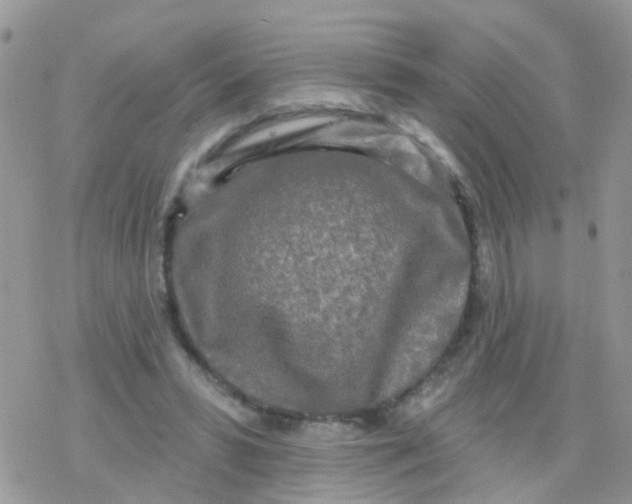 X0000078310399200611251538