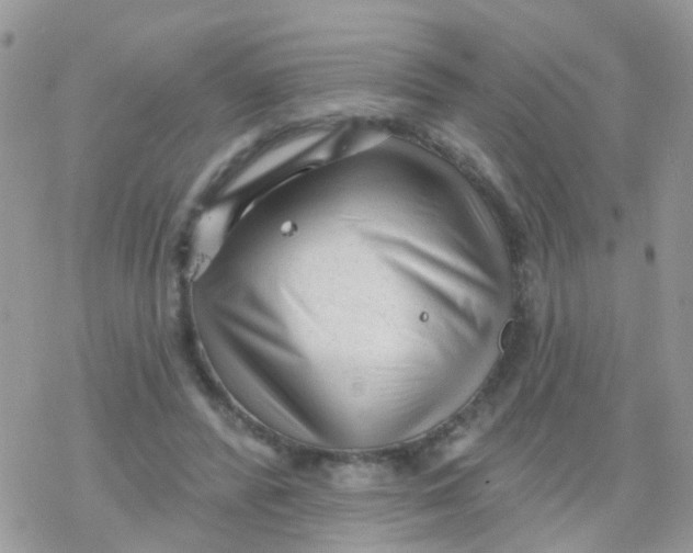 X0000078310400200611251538