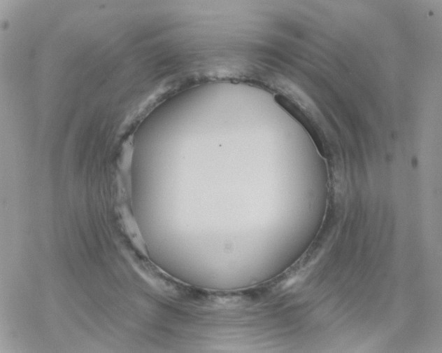 X0000078310401200611251538