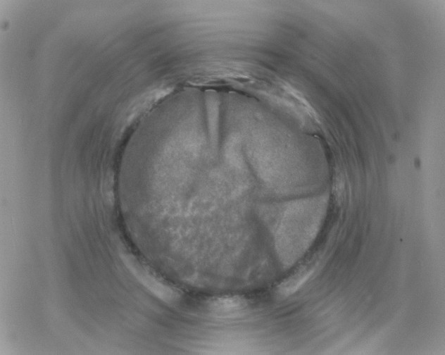 X0000078310402200611251538