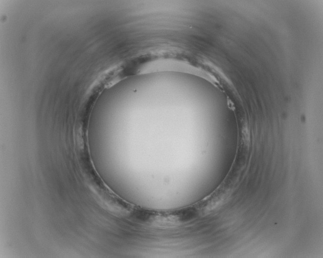 X0000078310403200611251538