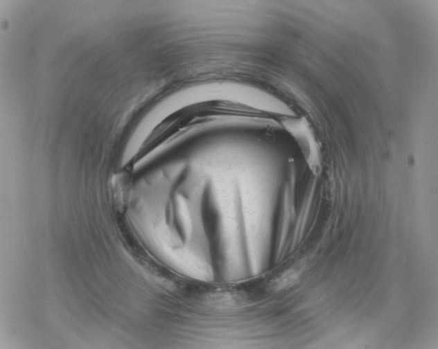 X0000078310404200611251538