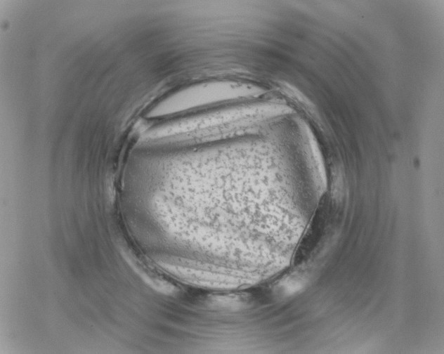 X0000078310405200611251538