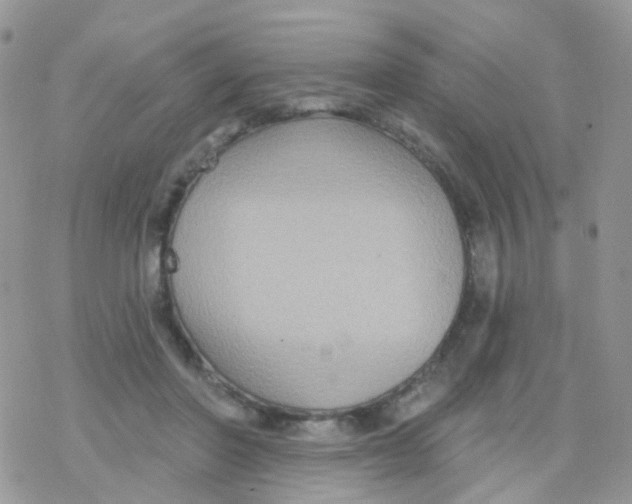 X0000078310406200611251538