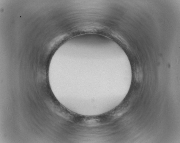 X0000078310407200611251538