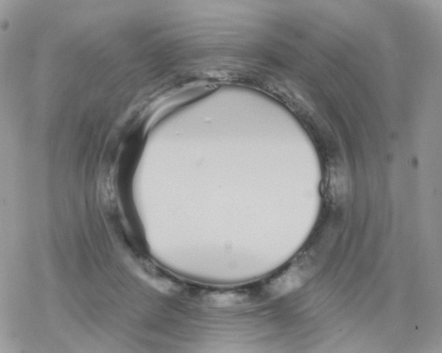 X0000078310408200611251538