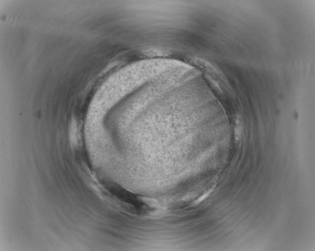 X0000078310409200611251538