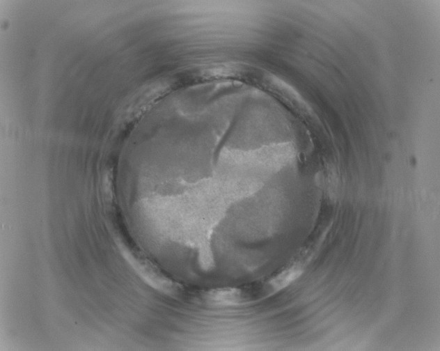 X0000078310410200611251538