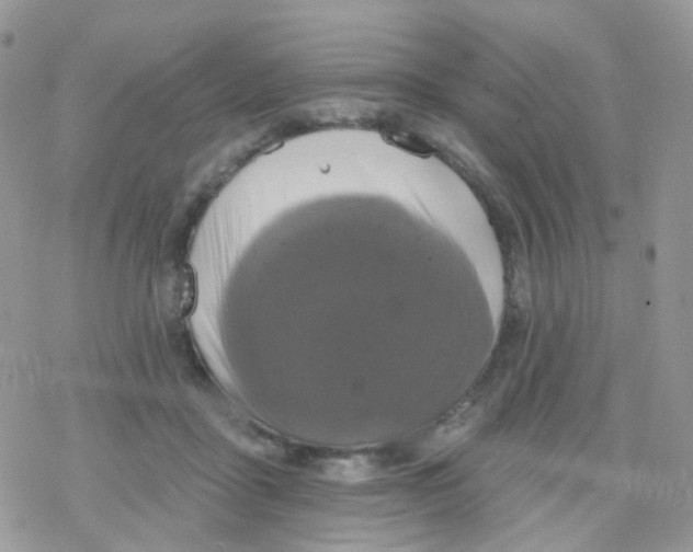 X0000078310411200611251538