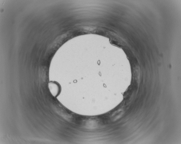 X0000078310412200611251538