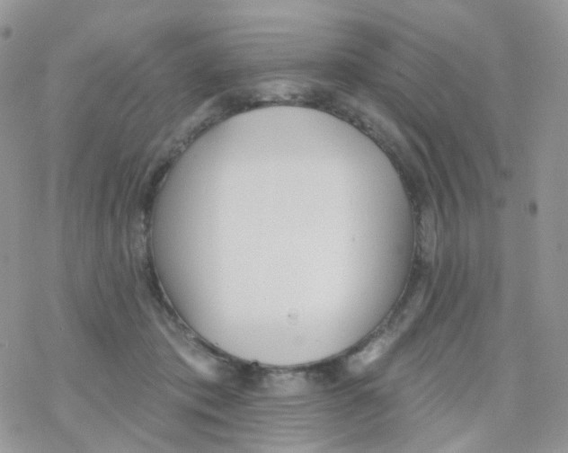 X0000078310413200611251538