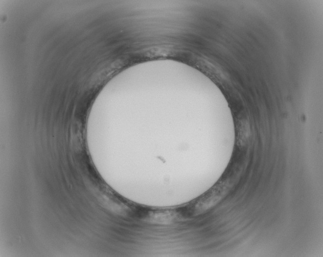 X0000078310414200611251538