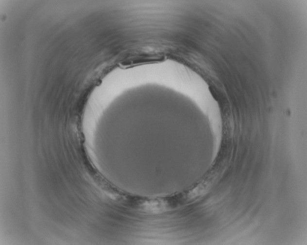 X0000078310415200611251538