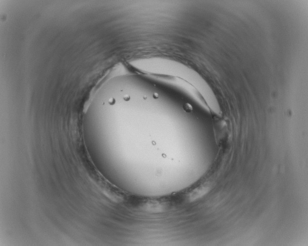 X0000078310416200611251538