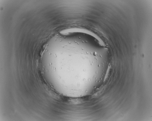 X0000078310417200611251538