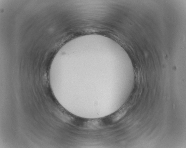 X0000078310418200611251538