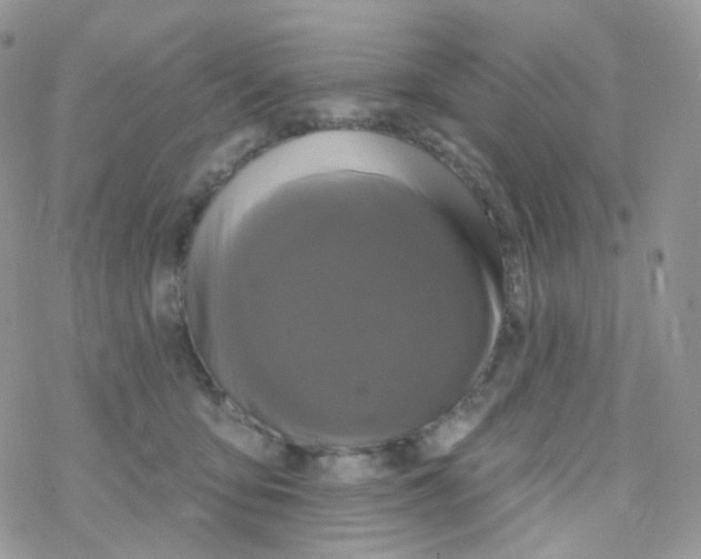 X0000078310419200611251538