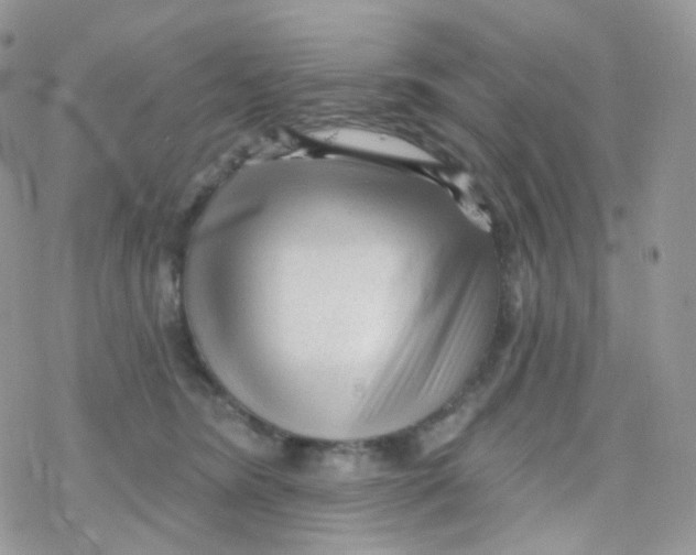 X0000078310420200611251538