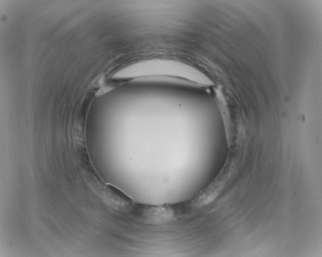 X0000078310421200611251538