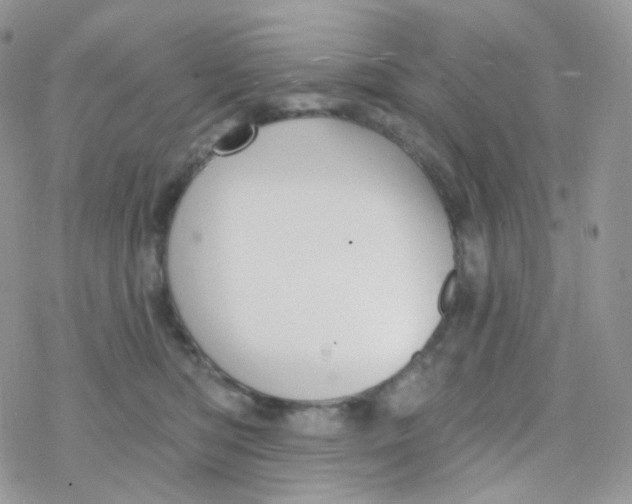 X0000078310422200611251538