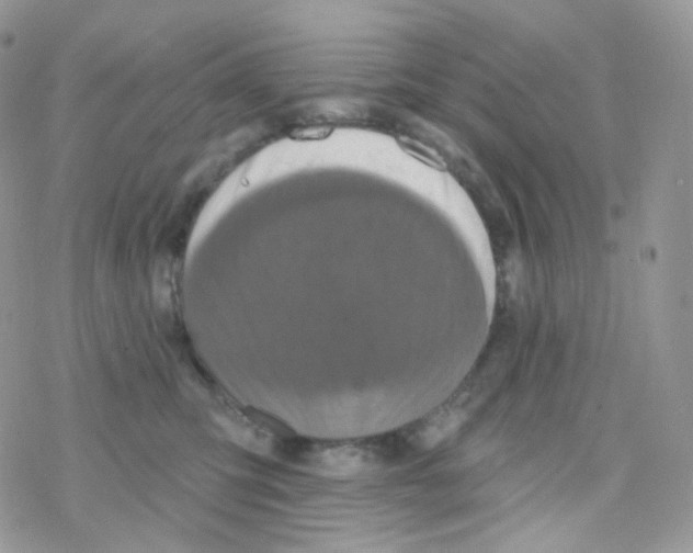 X0000078310423200611251538