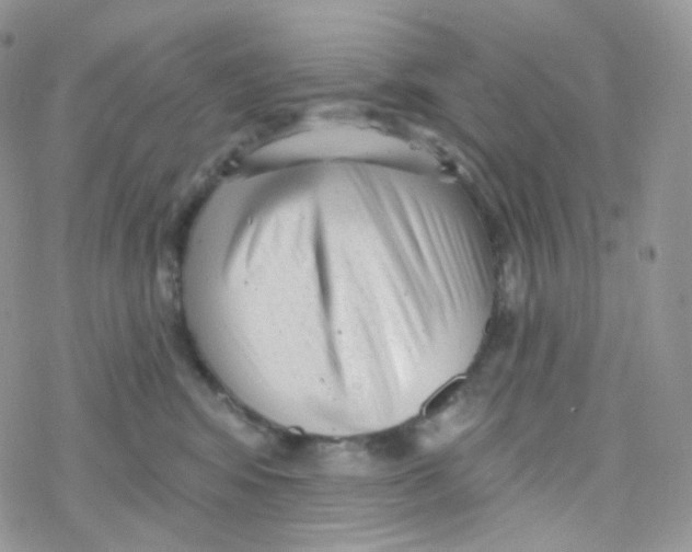 X0000078310424200611251538