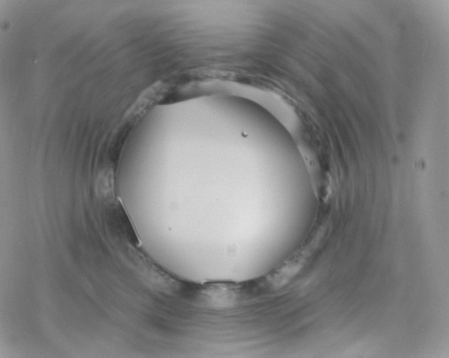 X0000078310425200611251538