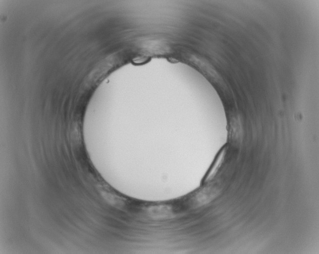 X0000078310426200611251538