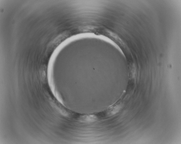 X0000078310427200611251538