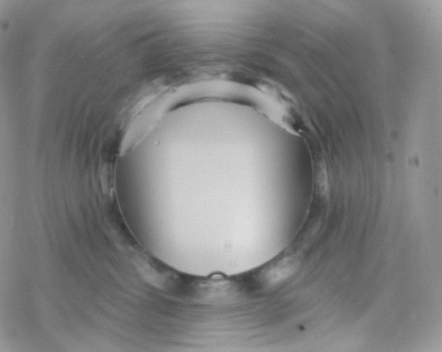 X0000078310428200611251538